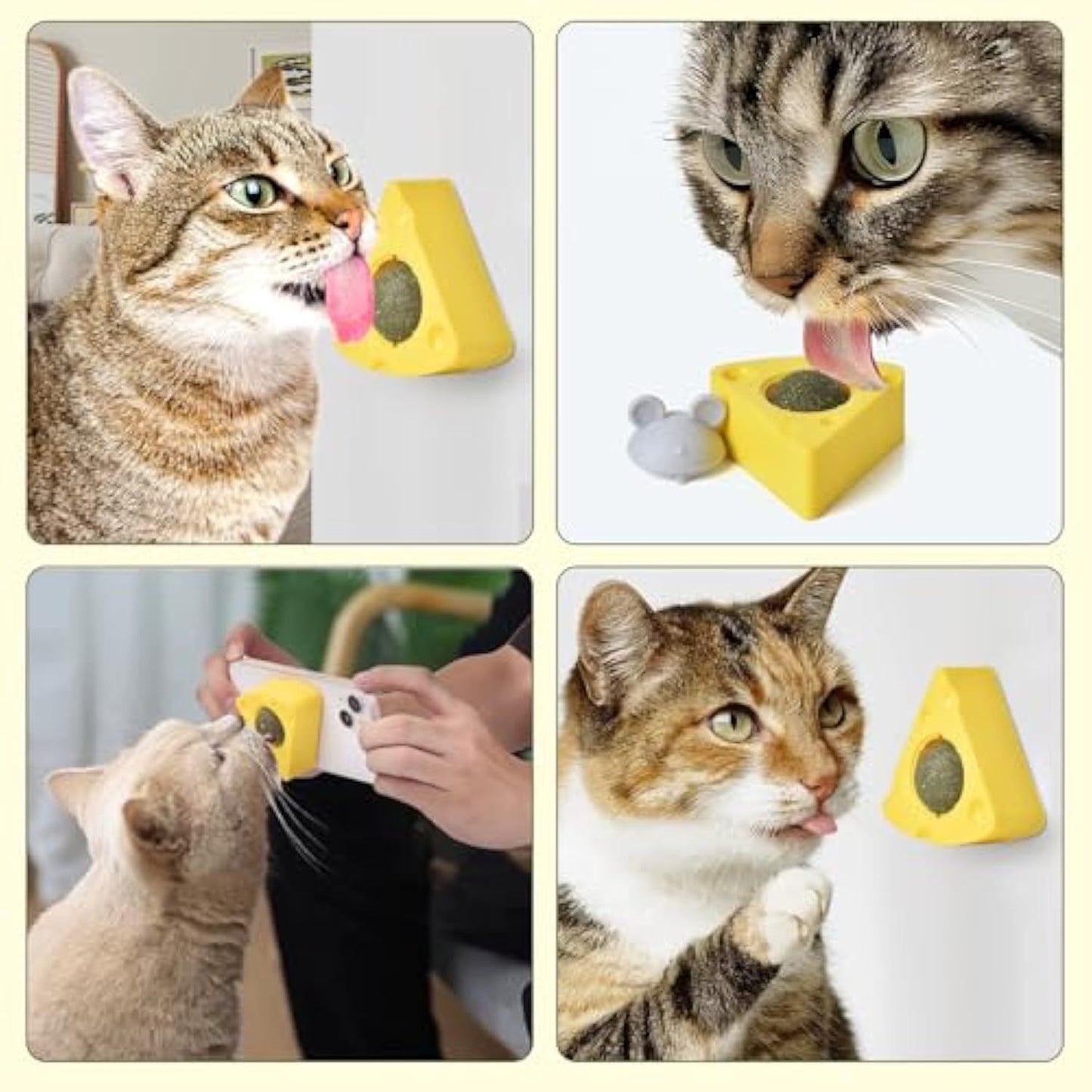 Catnip Balls Catnip Balls That Stick On Wall Catnip Balls For Cats Catnip Ball In The Shape Of Cheese